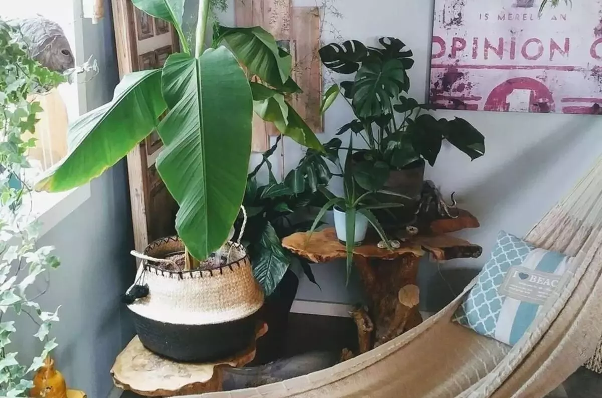 Sudut Comfy dengan Hammock Sudut Comfy dengan Hammock