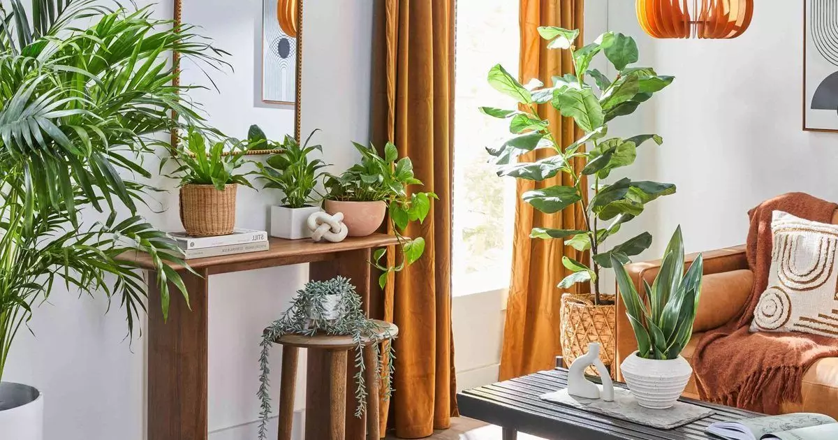 ruang-tamu-tanaman ruang-tamu-tanaman