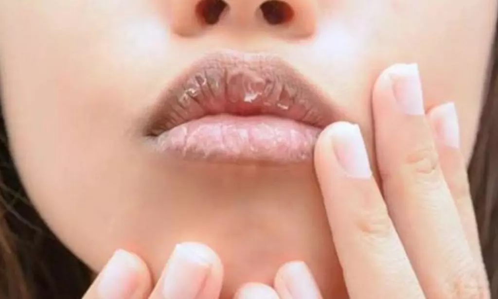 Rekomendasi Lips Produk untuk Mencerahkan dan Melembapkan Bibir