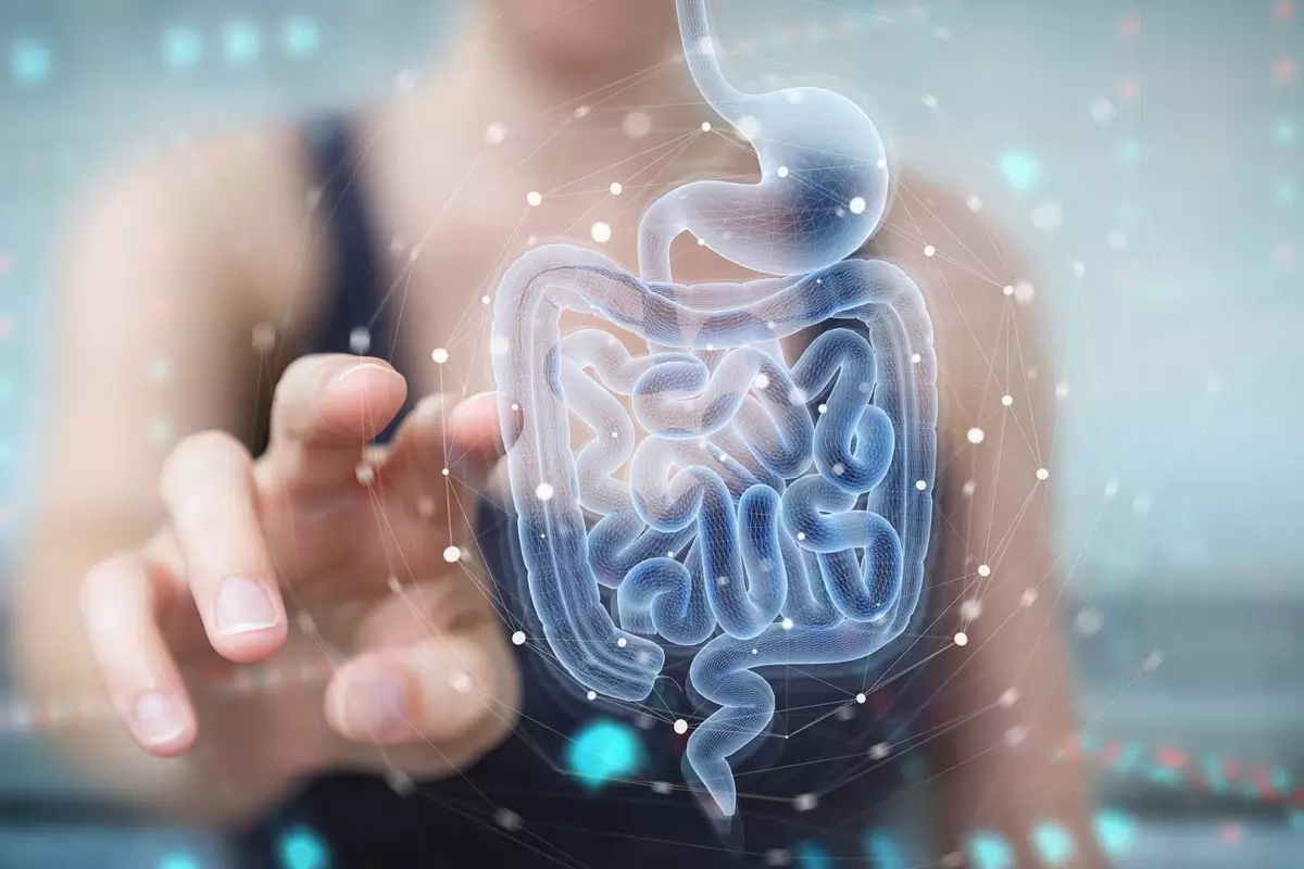 Membantu Meredakan Sistem Pencernaan