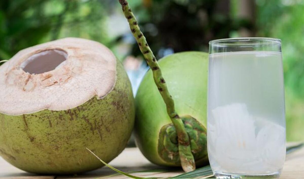 kelapa muda