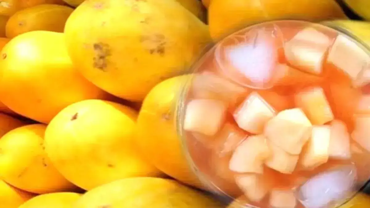 Timun suri Timun suri