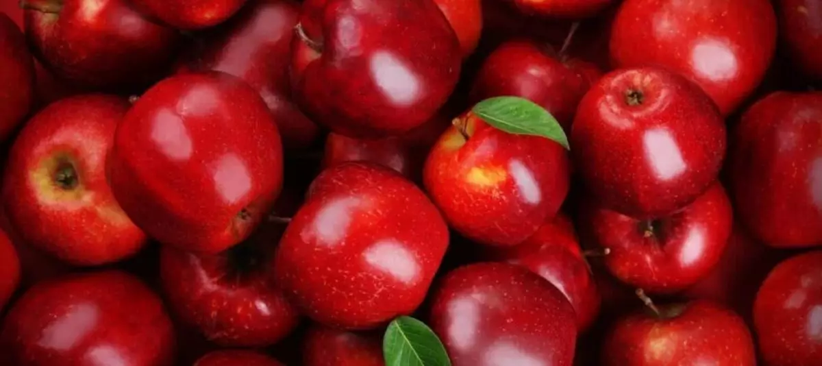 Buah Rendah Gula Apel Apel merupakan salah satu buah dengan kandungan gula yang rendah.