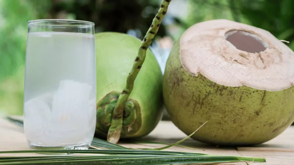 Air kelapa merupakan salah satu minuman penambah cairan.