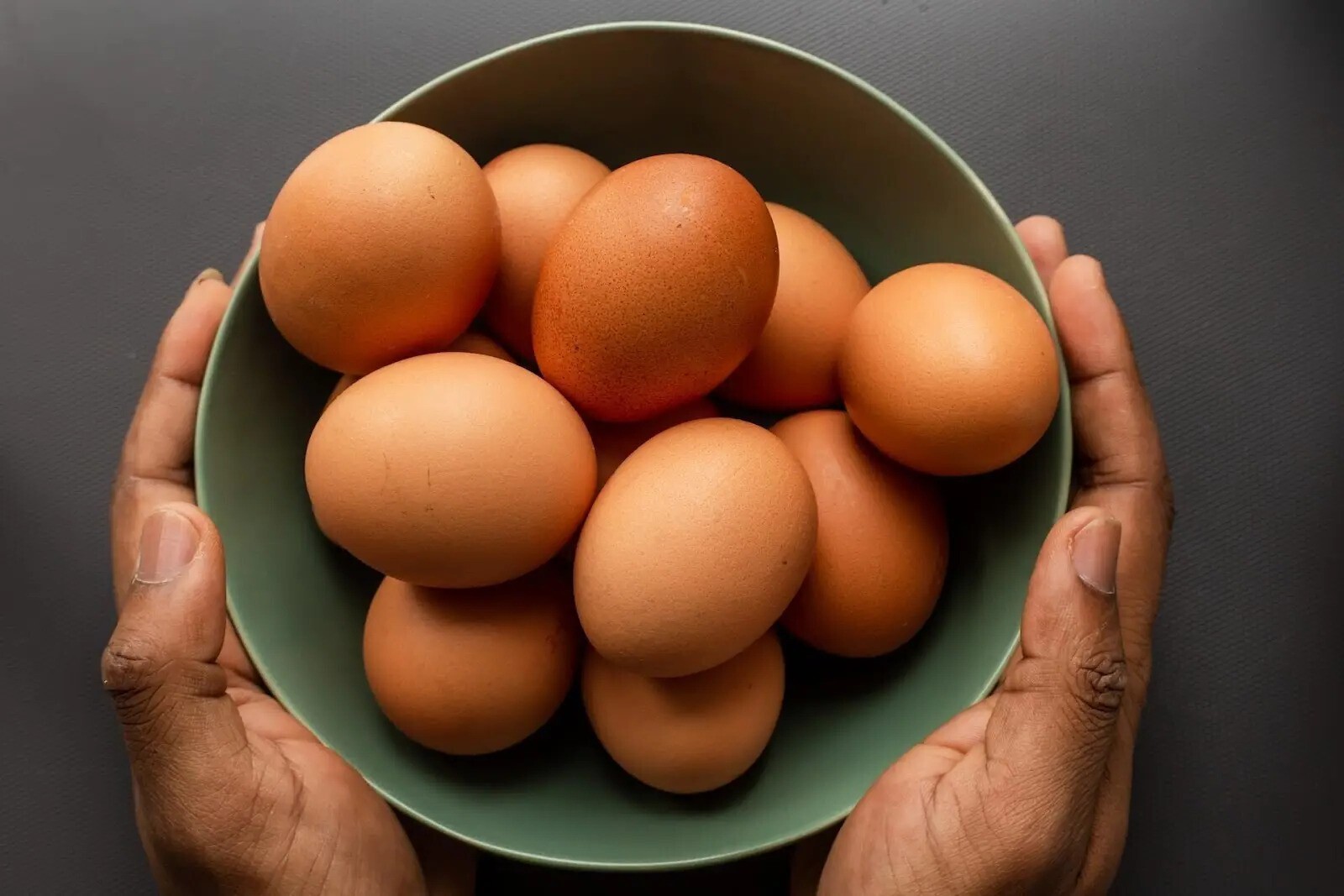telur