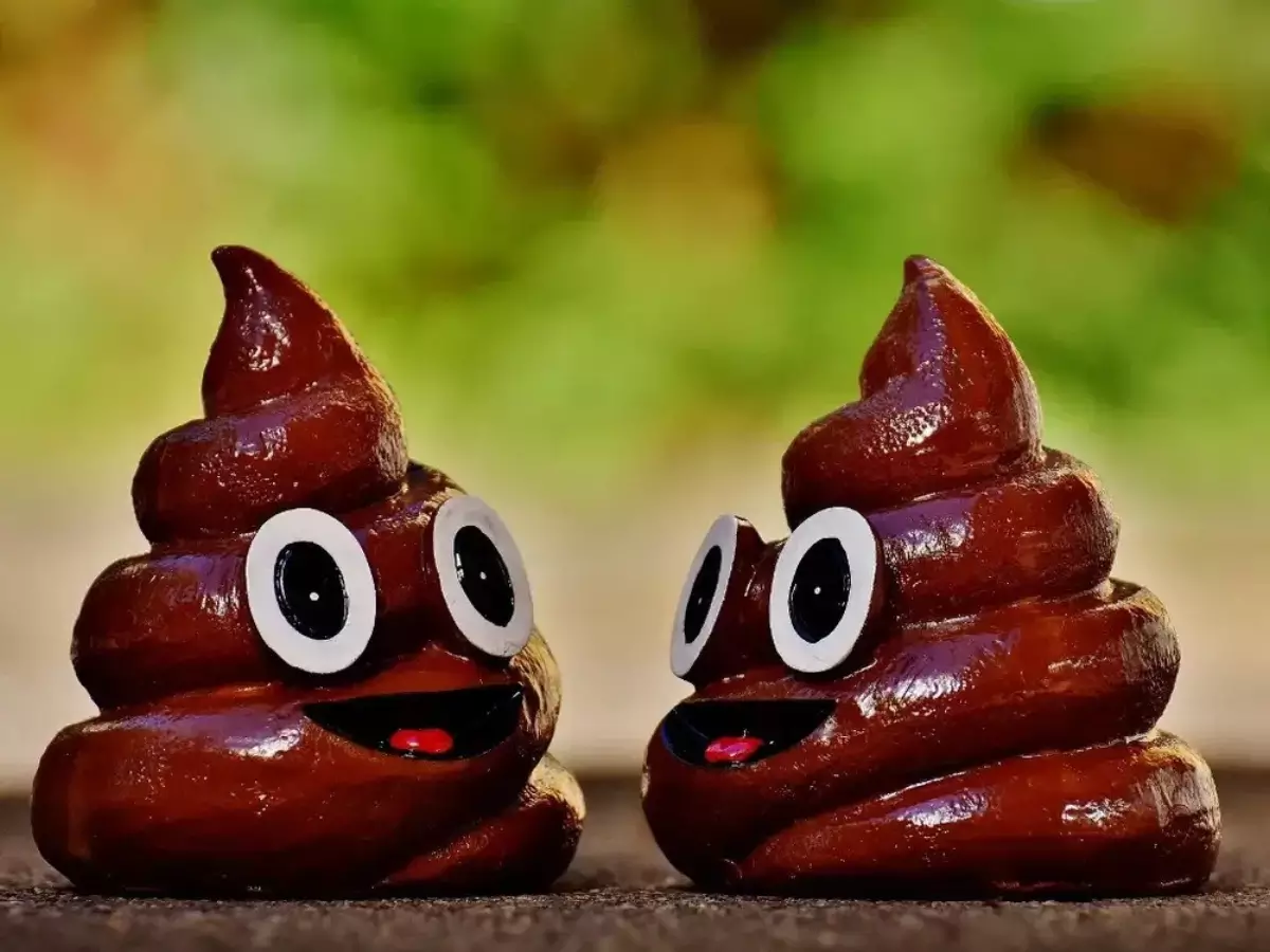 Feses Berukuran Lebih Besar