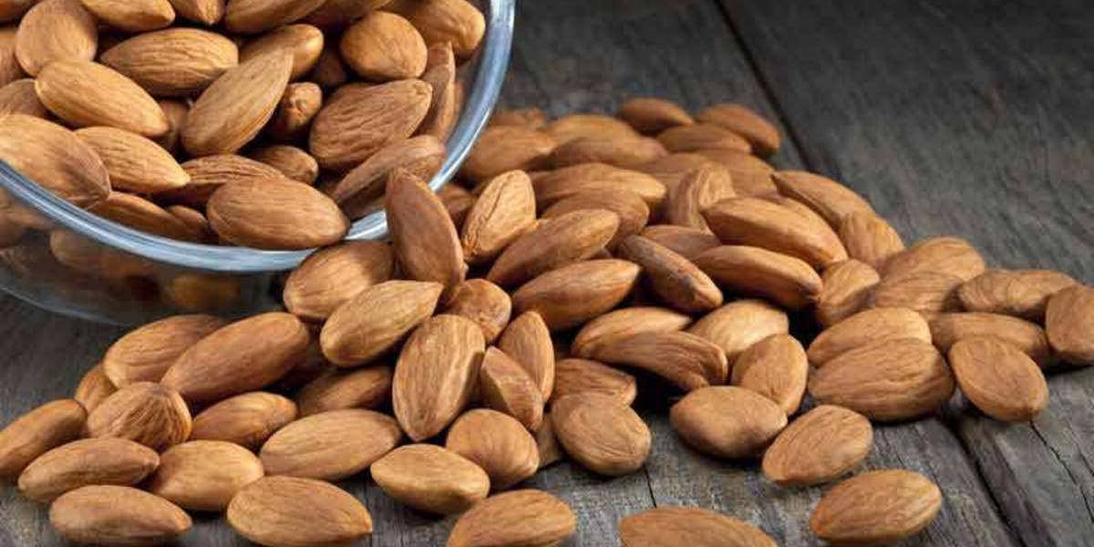 Kacang merupakan salah satu makanan untuk perkembangan otak.