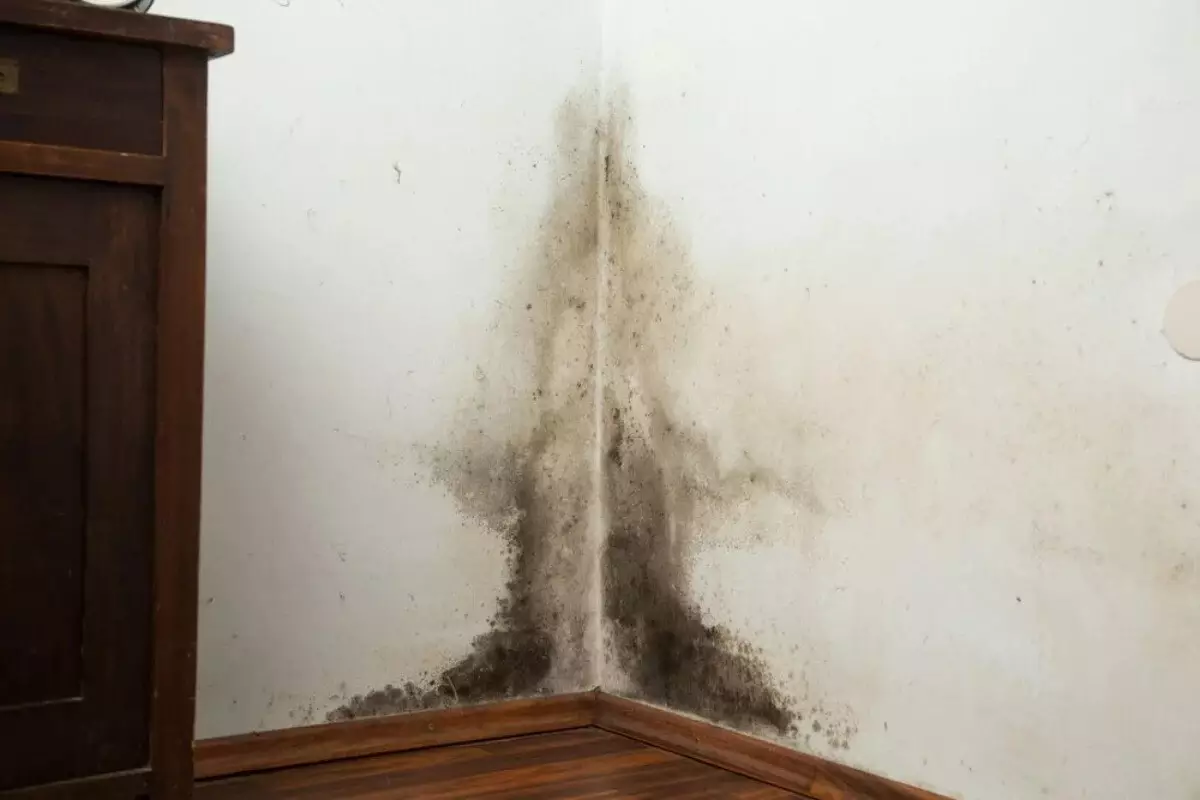 Menjaga Ruangan Tetap Kering